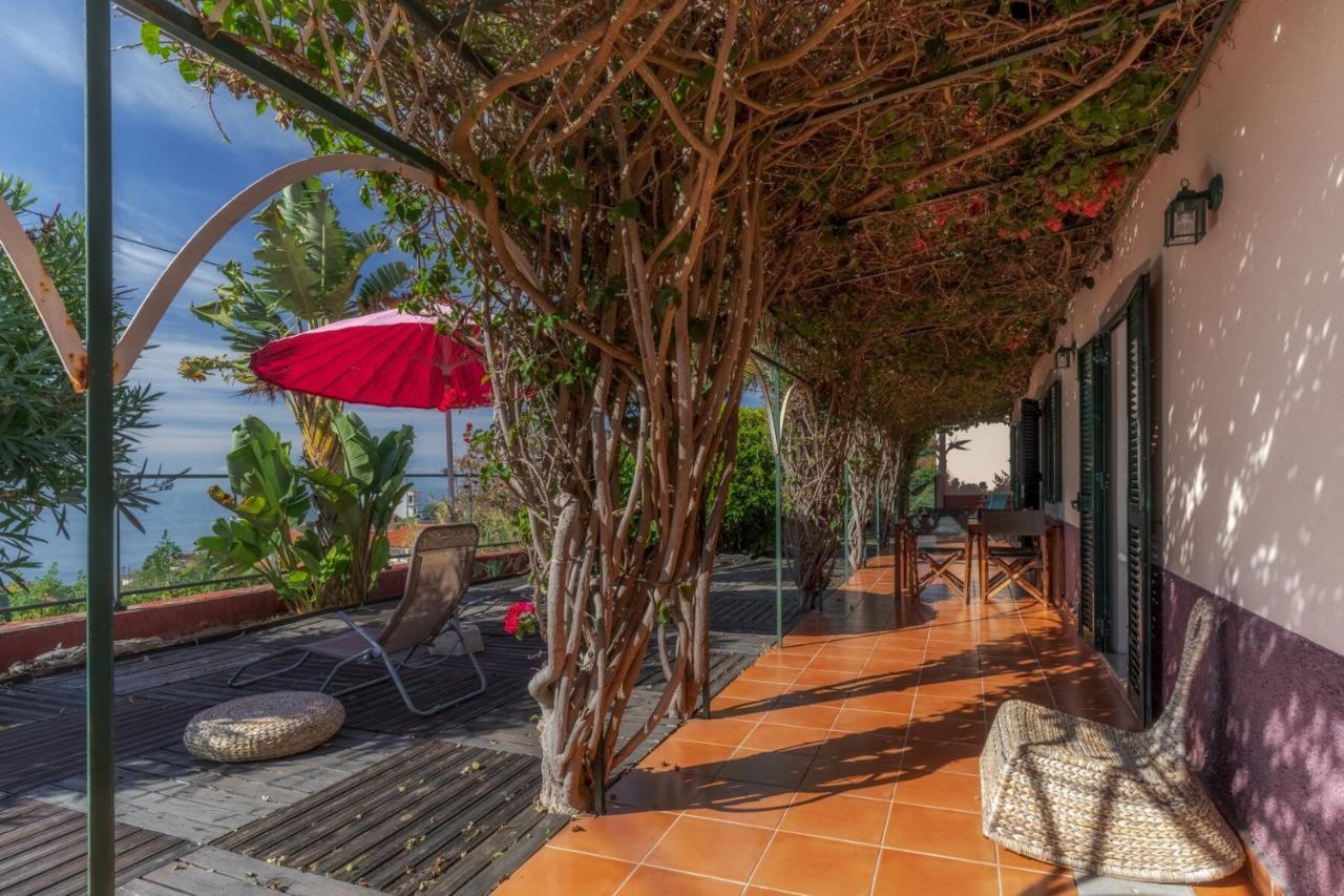 Cozy Villa Flora By Hr Madeira Estreito Da Calheta Exterior foto